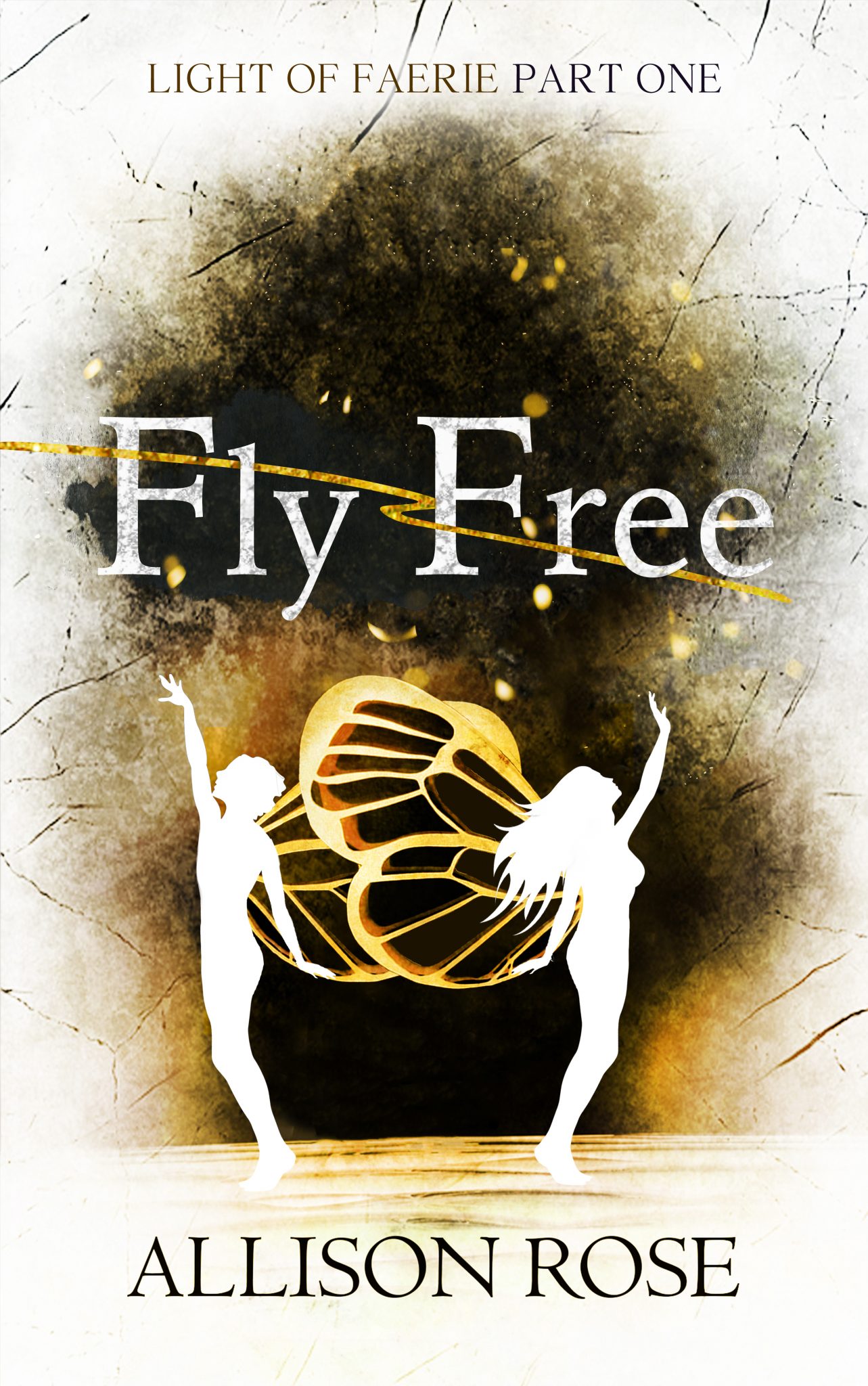 Fly Free by Allison Rose cover